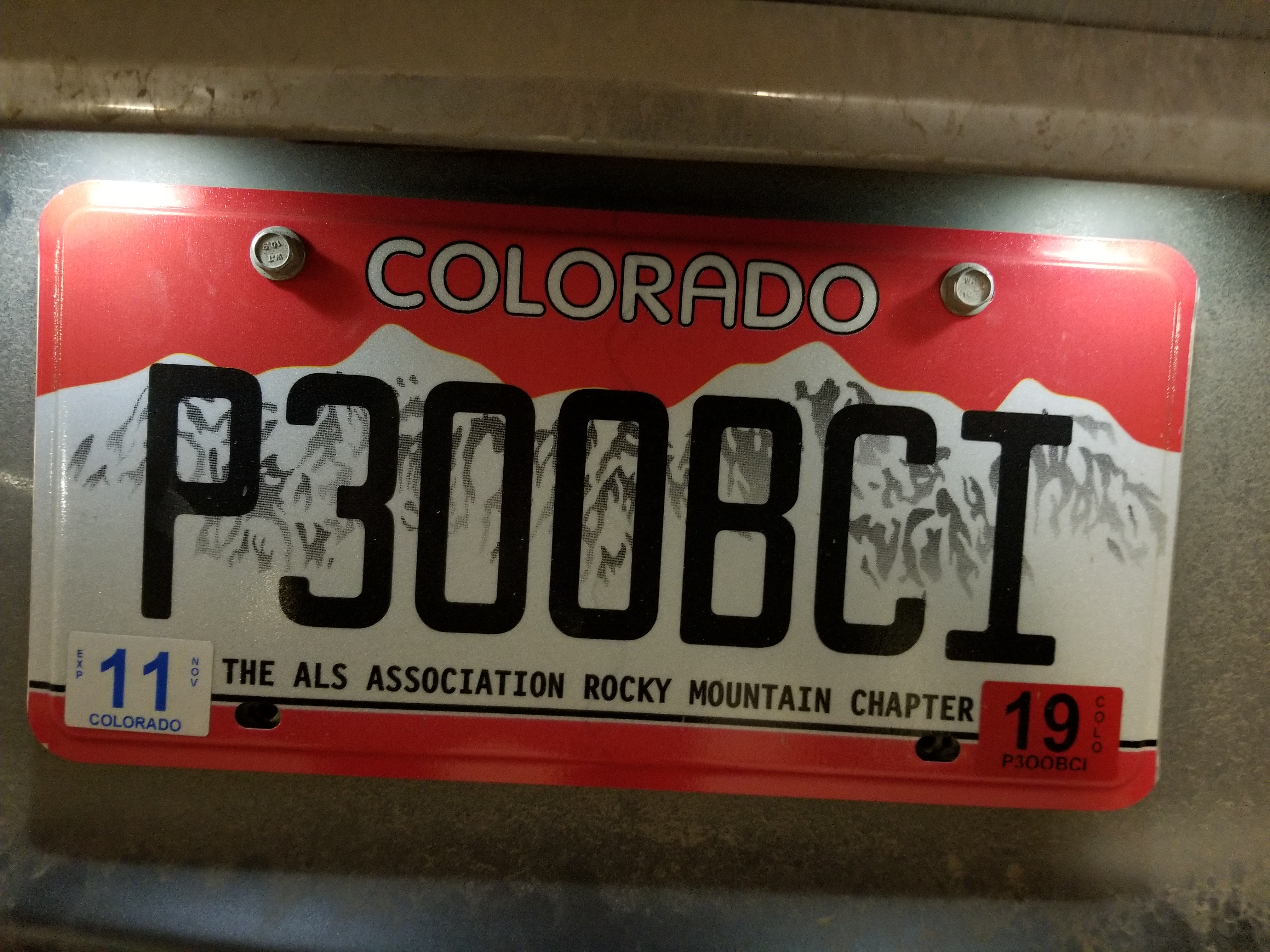 P300BCI plate
